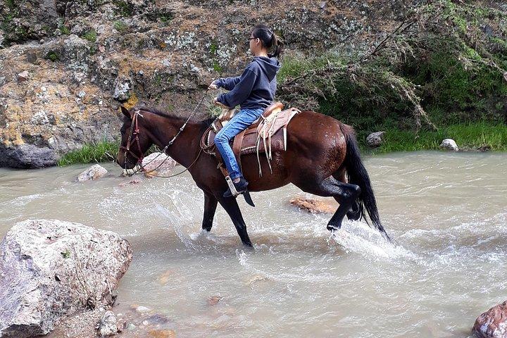 サンミゲルデアジェンデでの半日トレイルライディング