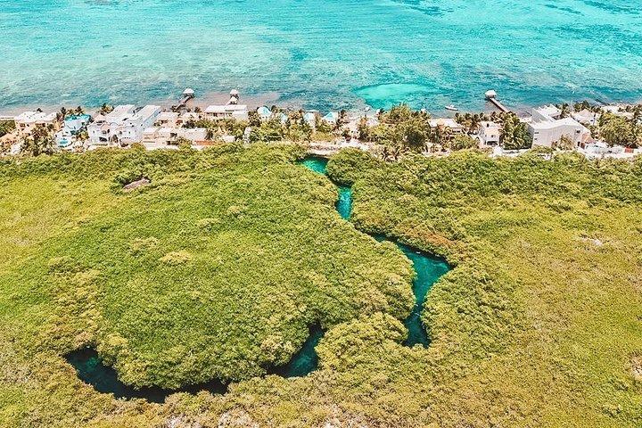 Cenote Paddleboarding och Snorkling i Tulum