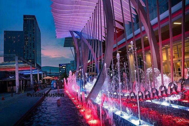 ヒューストン市内プライベートツアー3時間観光ツアー