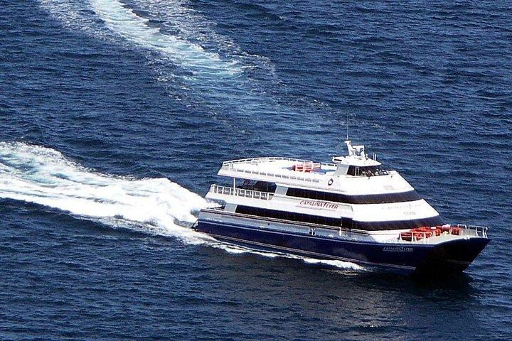 ニューポートビーチからアバロンまでのカタリナ島フェリー