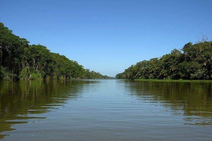 Caraibi Costa Rica: tour di 5 giorni con il Parco Nazionale del Tortuguero e Puerto Viejo