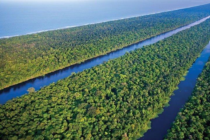 Caraibi Costa Rica: tour di 5 giorni con il Parco Nazionale del Tortuguero e Puerto Viejo