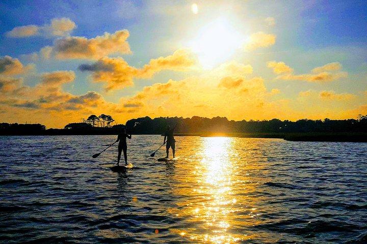 Alquiler de paddleboard de 2 horas en Rehoboth Bay