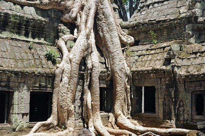 Tour privato di Tuk Tuk ad Angkor Wat e al piccolo cerchio con due extra