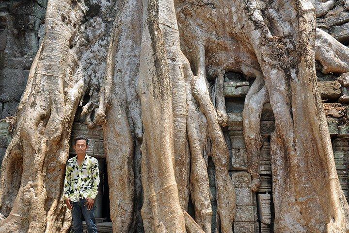 Excursão privada de tuk tuk para Angkor Wat e Small Circle com dois extras