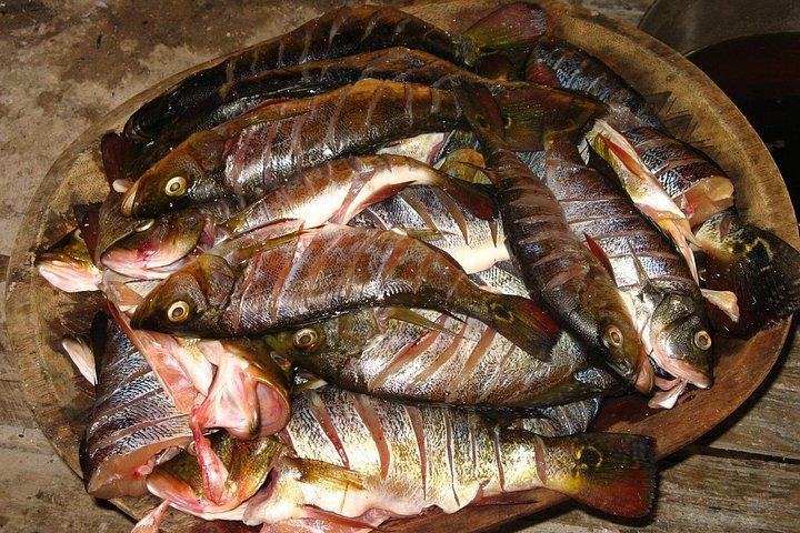 Embera Experience at the Chagres National Park