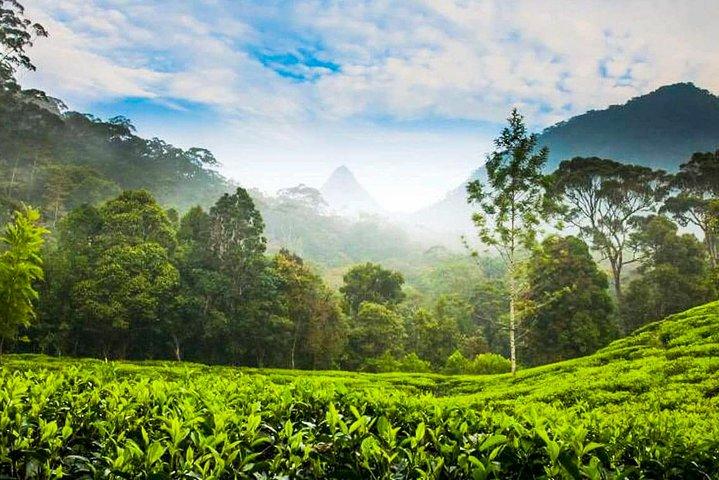 Nuwara Eliya Highlands vanuit Kandy