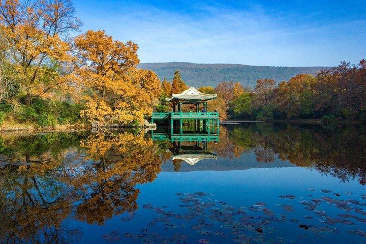 Flexible private Nanjing Independent Tour