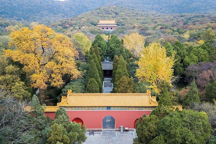 Excursion privée d'une journée tout compris à Nanjing