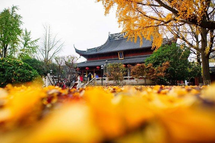 Excursion privée d'une journée tout compris à Nanjing