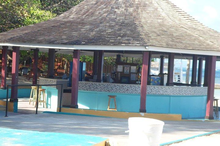 Ocho Rios Landausflug: Private Schnorcheltour
