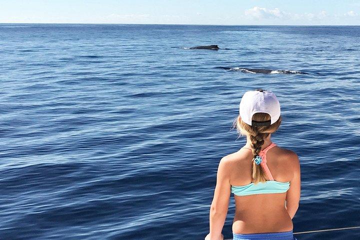 ヨットでオアフ島からプライベートシュノーケル旅行