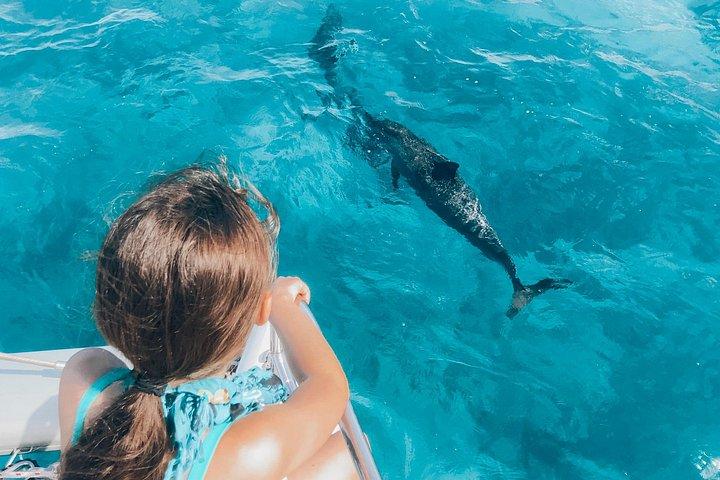 ヨットでオアフ島からプライベートシュノーケル旅行