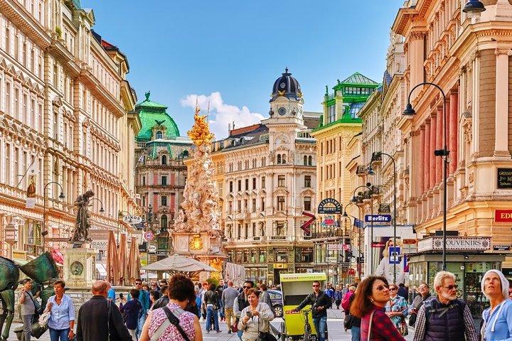 Flygplatstransfer: Vienna Airport VIE till Wien med lyxbil