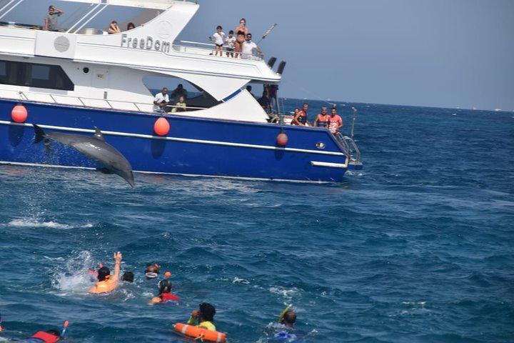 Dolphin House avec déjeuner en bateau de Hurghada