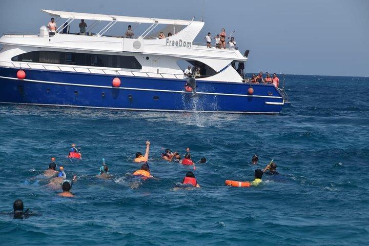 Dolphin House avec déjeuner en bateau de Hurghada