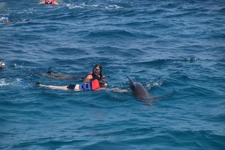 Dolphin House avec déjeuner en bateau de Hurghada