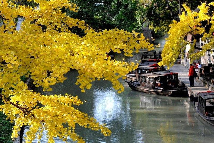 Visite privée de 4 heures à Suzhou: jardin de l'humble administrateur, Tiger Hill et canal