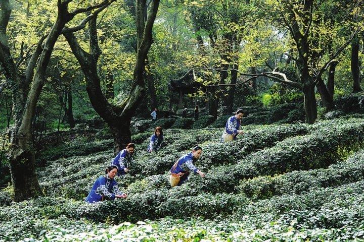 Visite privée de 4 heures à Suzhou: jardin de l'humble administrateur, Tiger Hill et canal
