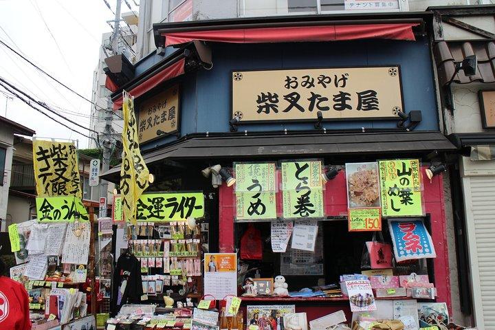Tokyo Highlights, Shibamata,Temple of Wood Carving, Japanese Style House