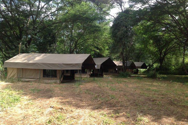 Experiencia de safari privado de 8 días en Tanzania