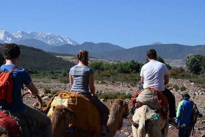 Marrakech: Majestic Atlas Mountains and 3 valleys Tour