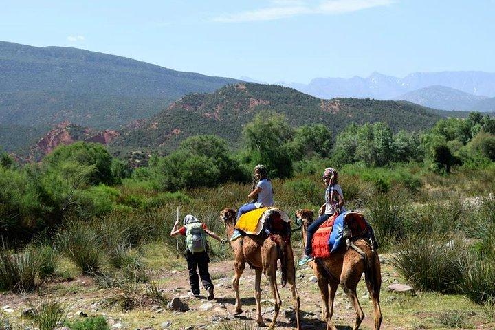 Marrakech: Majestic Atlas Mountains and 3 valleys Tour