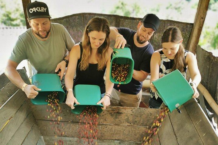 Privat Comuna 13 & Coffee Farm Tour i Medellin | Den bästa Combo