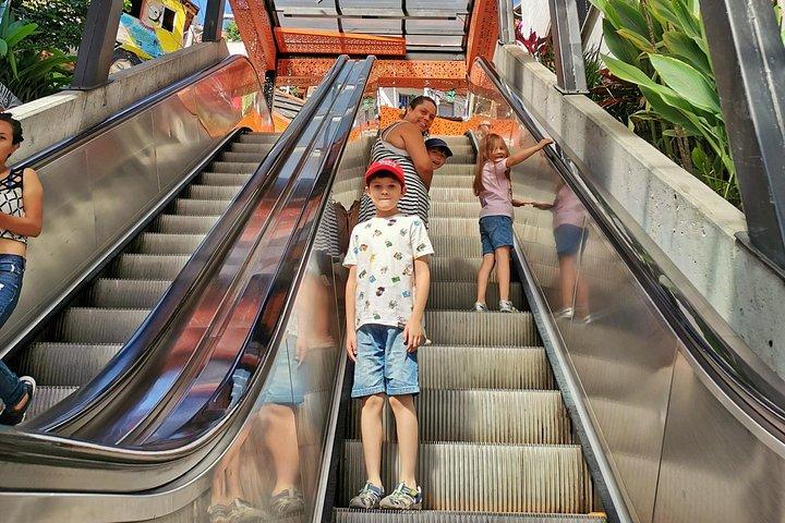 プライベートコムーナ13＆メデジンのコーヒーファームツアー|最高のコンボ
