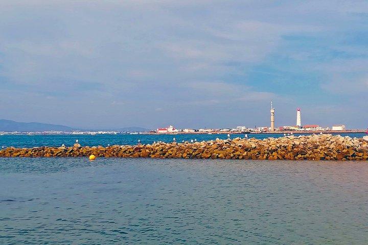 Excursion privée en bateau à Ria Formosa à Olhão