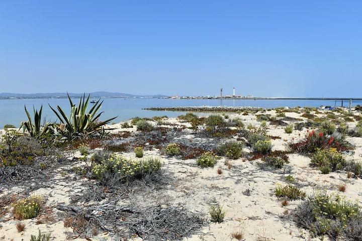 4-timmars privat båttur i Ria Formosa
