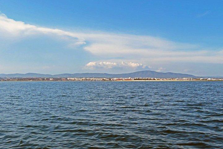 4-timmars privat båttur i Ria Formosa