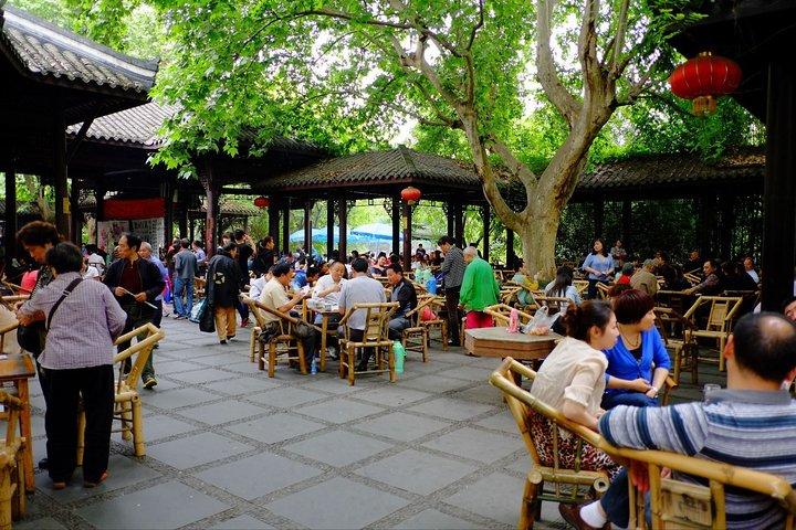Excursion privée : visite du Centre de recherche et d'élevage du panda géant de Chengdu