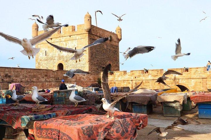Dagstur från Marrakech till Atlanten och Essaouira Mogador