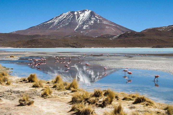 Esperienza di 4 giorni presso l'Uyuni Salt Flat da San Pedro de Atacama