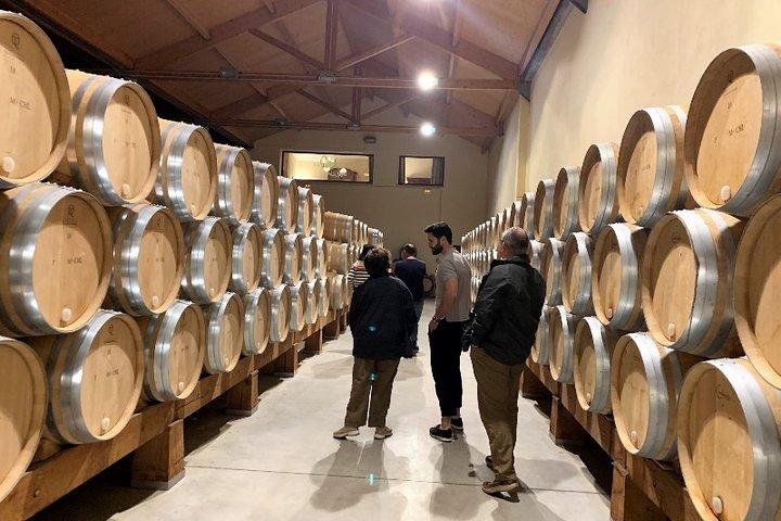 Ribera del Duero Kleingruppentour: Tapas & Weinprobe