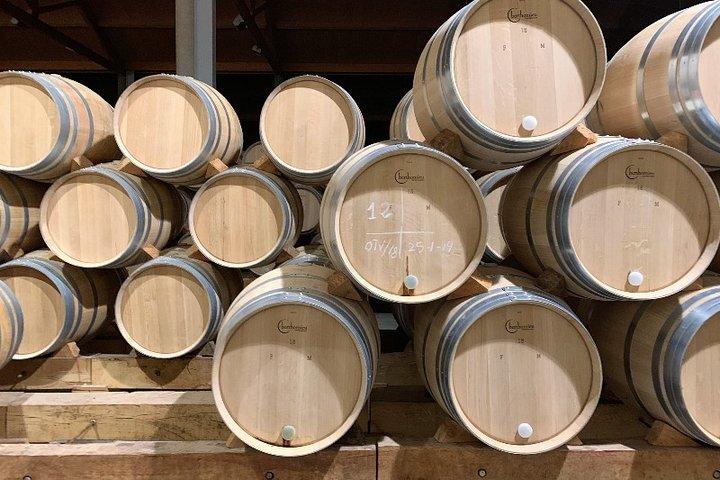 Ribera del Duero Kleingruppentour: Tapas & Weinprobe