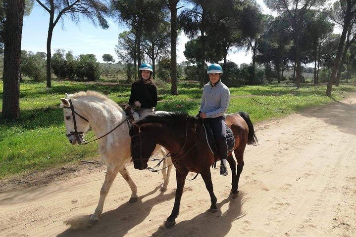 Paardrijden in Parque Natural Doñana, Sevilla