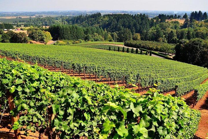 Tour privato del vino di Santiago City e Casablanca Valley di 3 giorni