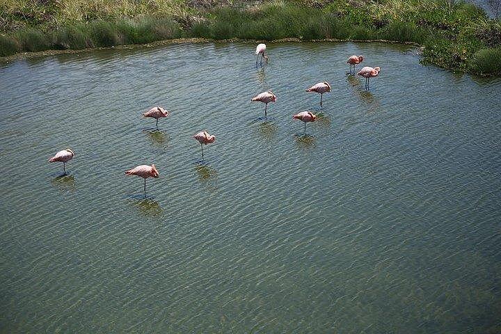 2 Days - Isabela Island Fast Visit