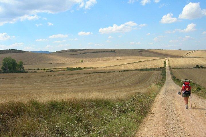 Camino de Santiago: últimos 100 km a pie de Sarria a Santiago de Compostela
