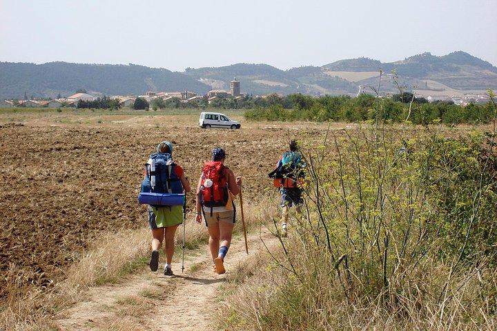Camino de Santiago: últimos 100 km a pie de Sarria a Santiago de Compostela