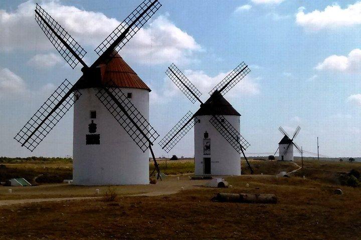 Toledo, Windmühlen, Weingut Kleingruppentour mit Mittagessen ab Madrid