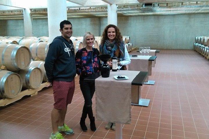 Tour en grupo reducido Ribera del Duero : Cata de Tapas & Vinos