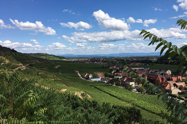 5H00 ALSACE PRIVATE TOUR-城、村、ワイン、フレンドリードライバー