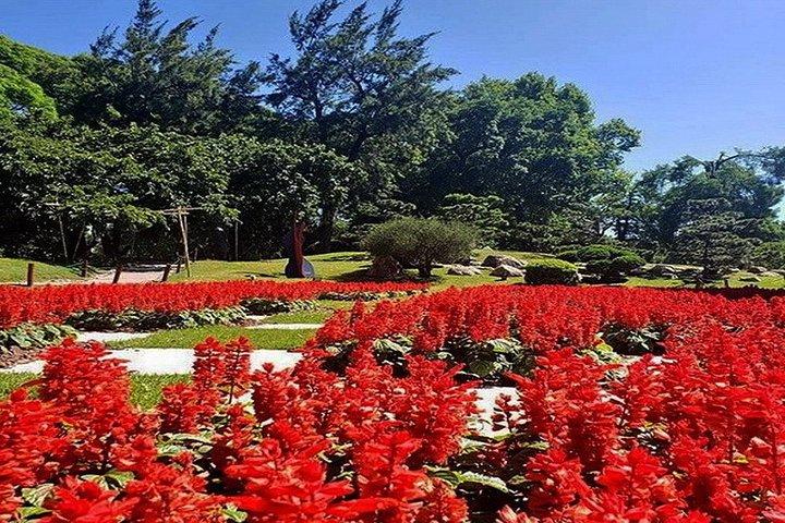 ブエノスアイレスのプライベートツアー、パレルモ、日本庭園、植物園を探索