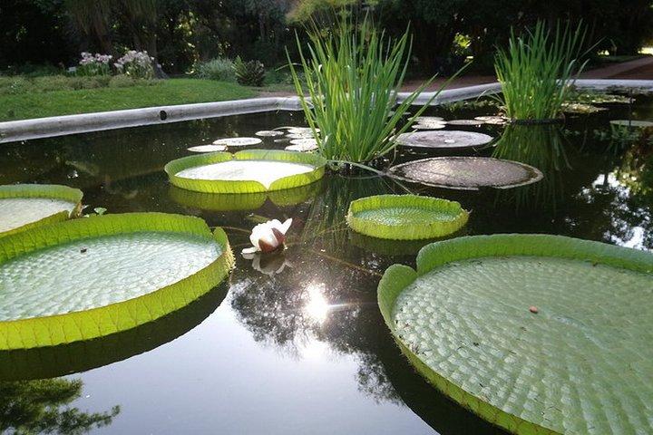 ブエノスアイレスのプライベートツアー、パレルモ、日本庭園、植物園を探索