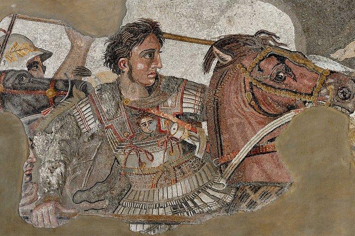 Arkeologisk Museum Privat tur med Skiptheline billetter