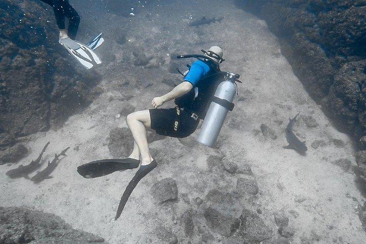 Open Water Diver Certification OWD