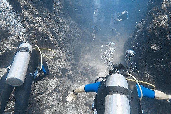 Open Water Diver Certification OWD